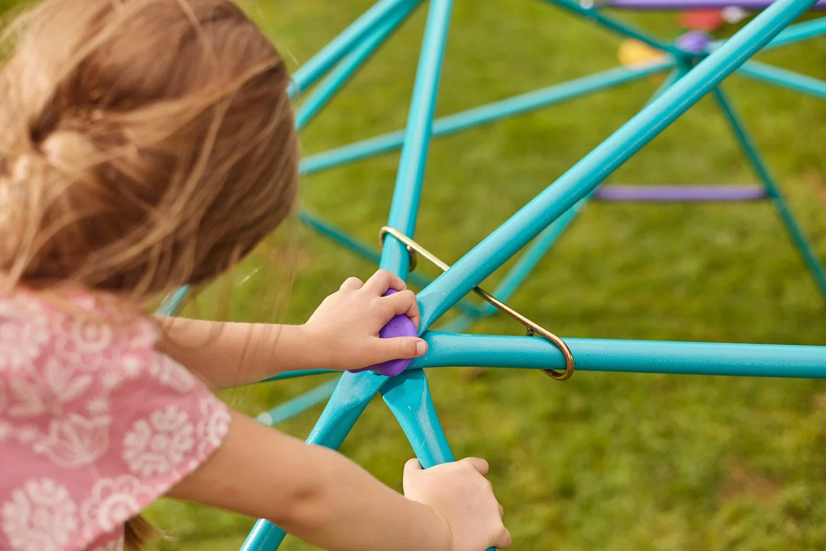 Plum® Phobos Metal Climbing Dome - Teal/Purple