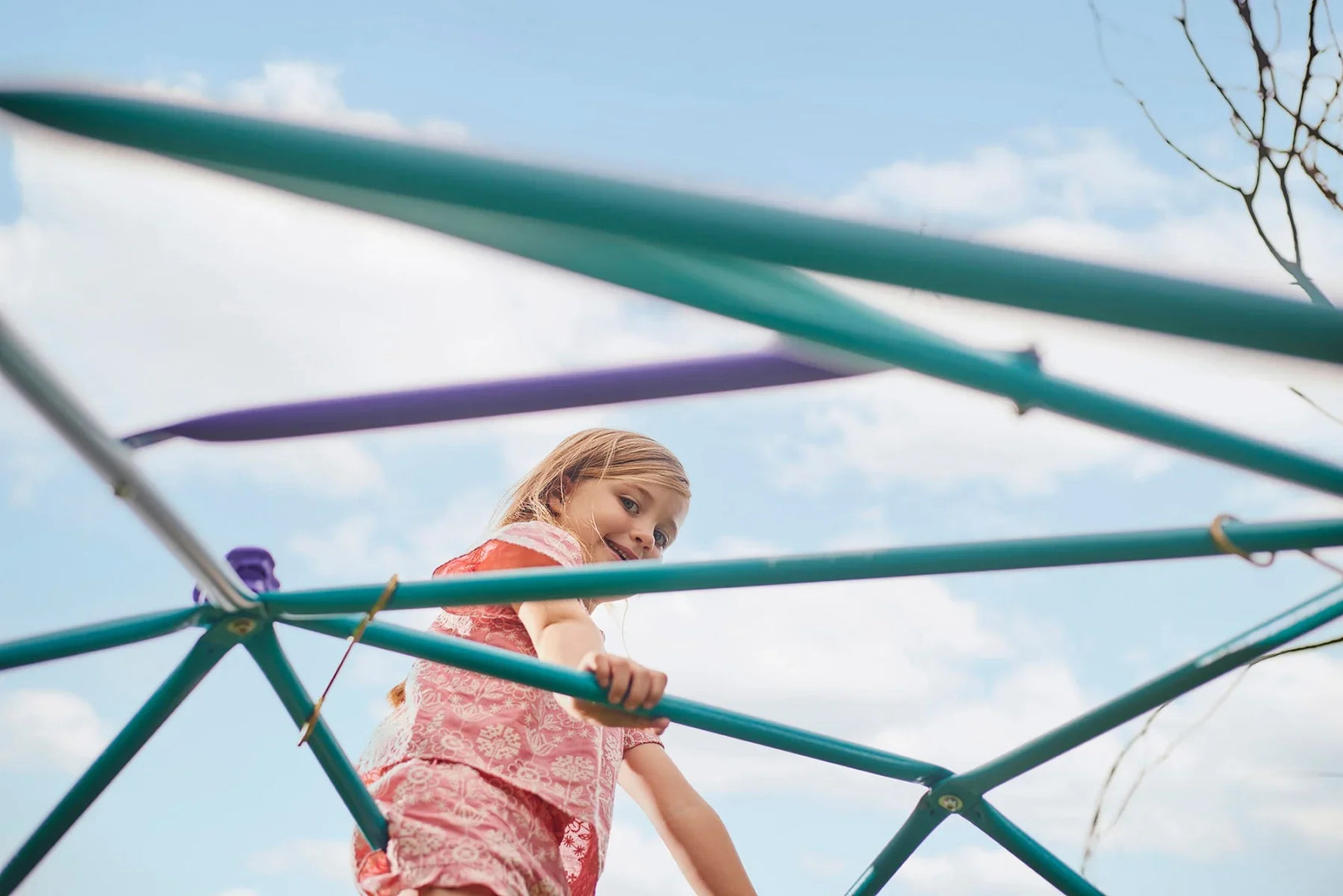 Plum® Phobos Metal Climbing Dome - Teal/Purple