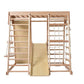 Indoor Climbing Play Gym with Slide & Swing Frame