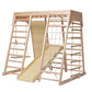 Indoor Climbing Play Gym with Slide & Swing Frame
