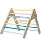 Pikler Ladder and Arch Package (3in1) - VARNISHED WOOD