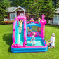Flamingo Fun Inflatable with Slide and Pool (72044)